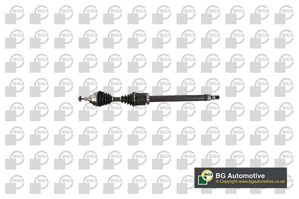 BGA Hnací hriadeľ DS2306R 1