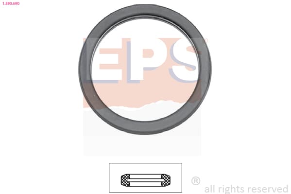 EPS Tesnenie termostatu 1.890.690 1