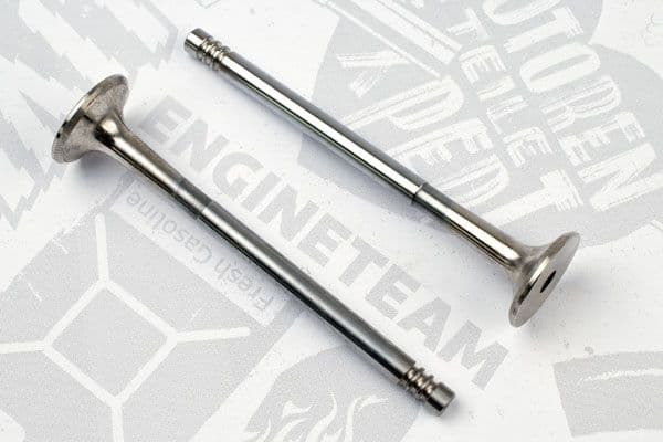 ET ENGINETEAM Výpustný ventil VE0019 1