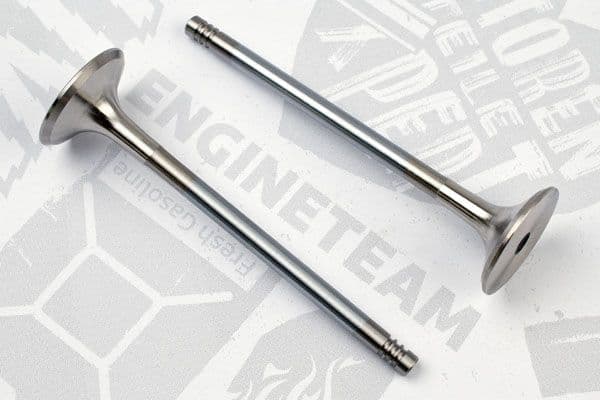 ET ENGINETEAM Výpustný ventil VE0024 1