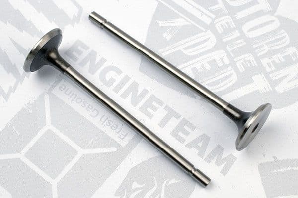 ET ENGINETEAM Výpustný ventil VE0039 1