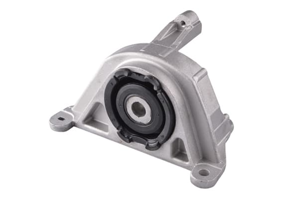 TEDGUM Uloženie motora 00215780 1