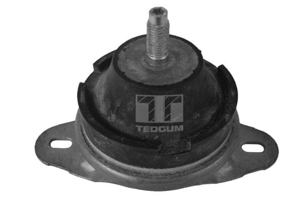 TEDGUM Uloženie motora 00514176 1