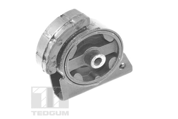 TEDGUM Uloženie motora 00671816 1