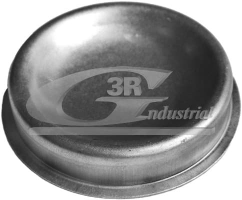 3RG Krytka ložiska kolesa 80226 1