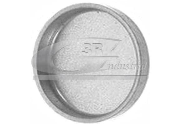 3RG Protimrazová poistka 84006 1