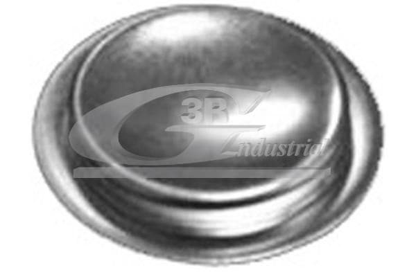 3RG Záslepky Montážnych otvorovhriadeľa vahadla 84050 1