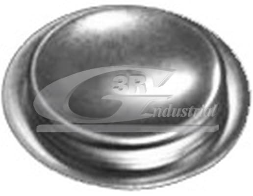 3RG Záslepky Montážnych otvorovhriadeľa vahadla 84051 1
