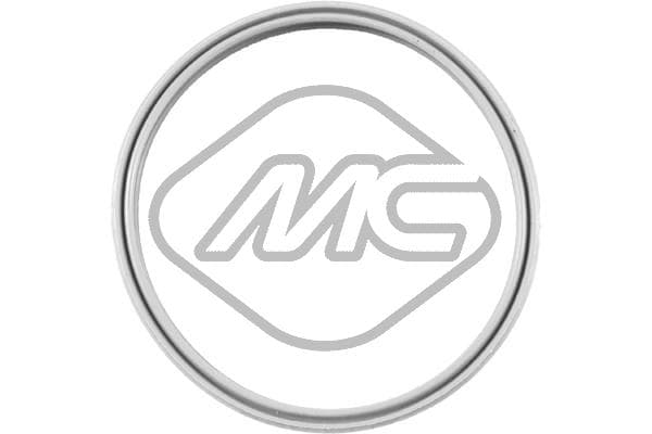 Metalcaucho Tesniaci krúžok hadice plniaceho vzduchu 39381 1