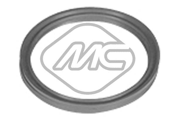 Metalcaucho Tesniaci krúžok hadice plniaceho vzduchu 98720 1