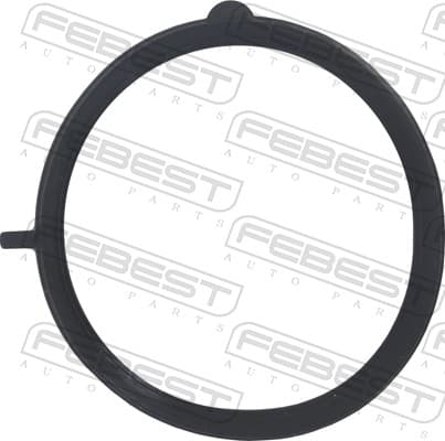 FEBEST Tesnenie, hrdlo škrtiacej klapky 10400-001 1