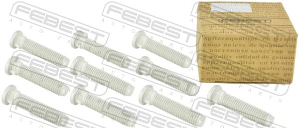 FEBEST Čap kolesa 2184-001-PCS10 1