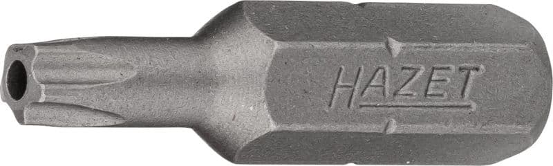 HAZET Skrutkovací bit 2225-20H 1