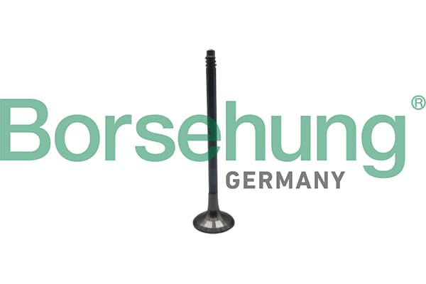 BORSEHUNG Výpustný ventil B10324 1
