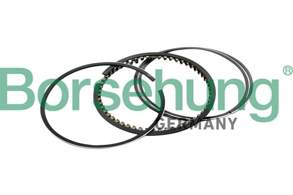 BORSEHUNG Sada piestnych krúžkov B10367 1