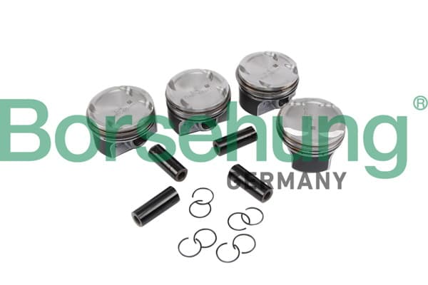 BORSEHUNG Piest B11134 1