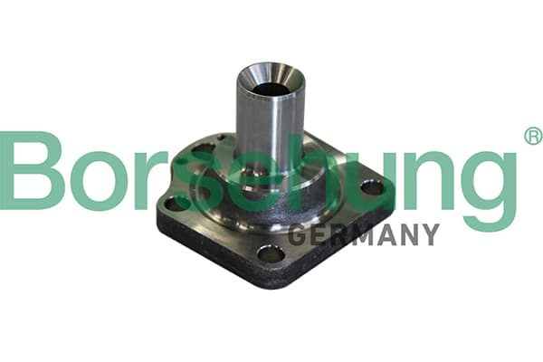 BORSEHUNG Náboj kolesa B11291 1