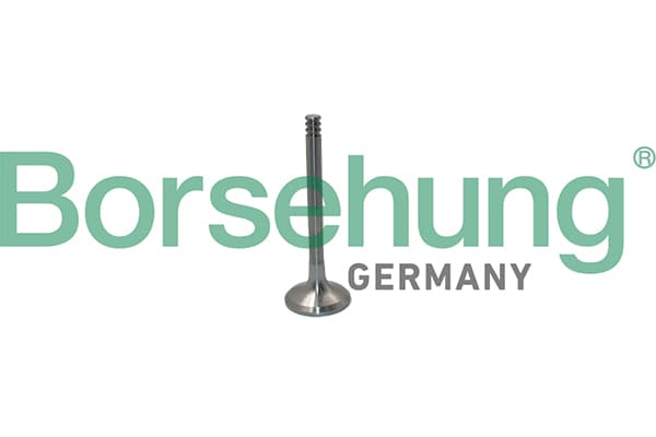 BORSEHUNG Výpustný ventil B19012 1