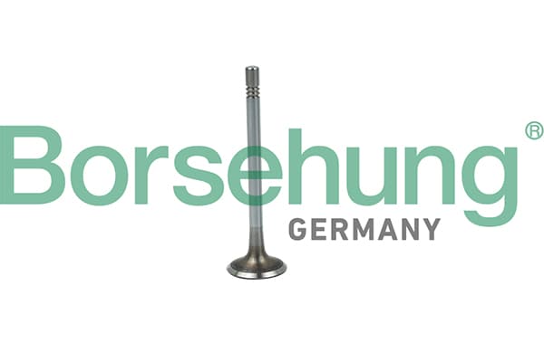 BORSEHUNG Sací ventil B19020 1