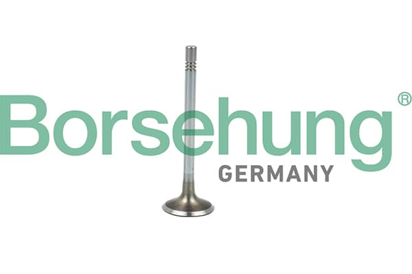 BORSEHUNG Sací ventil B19021 1
