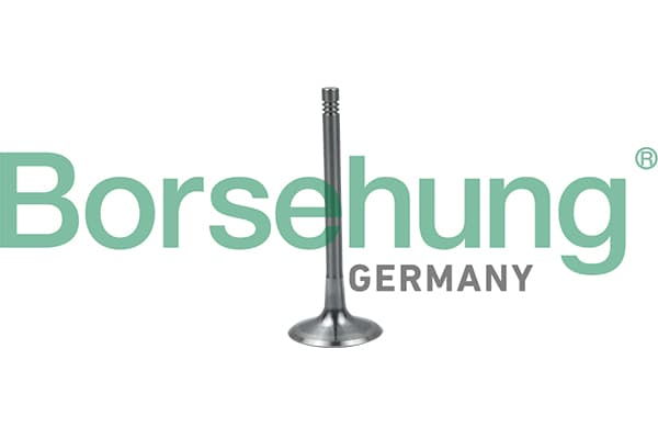 BORSEHUNG Sací ventil B19024 1