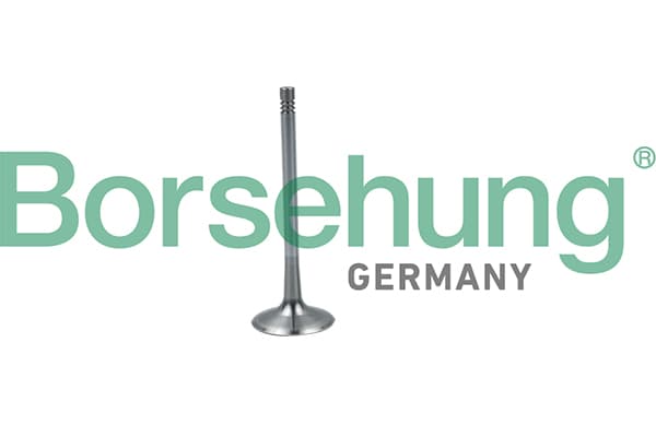 BORSEHUNG Sací ventil B19026 1