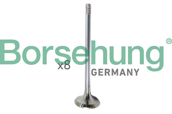 BORSEHUNG Sací ventil B10322 1