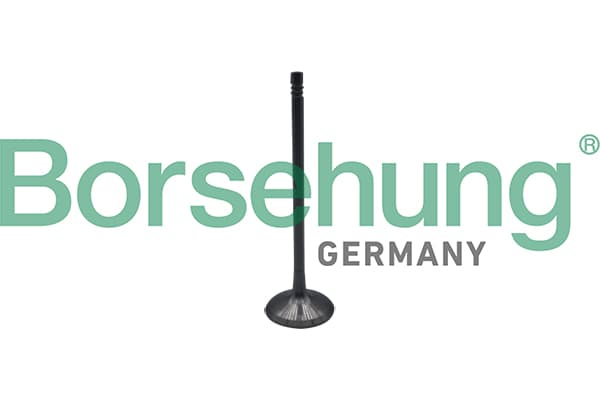BORSEHUNG Sací ventil B10323 1