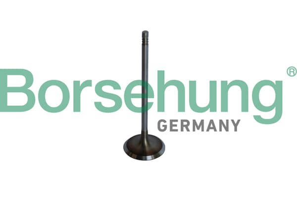 BORSEHUNG Sací ventil B10325 1