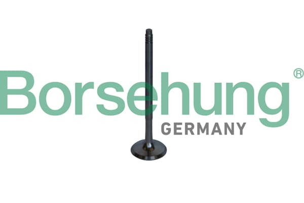 BORSEHUNG Výpustný ventil B10326 1