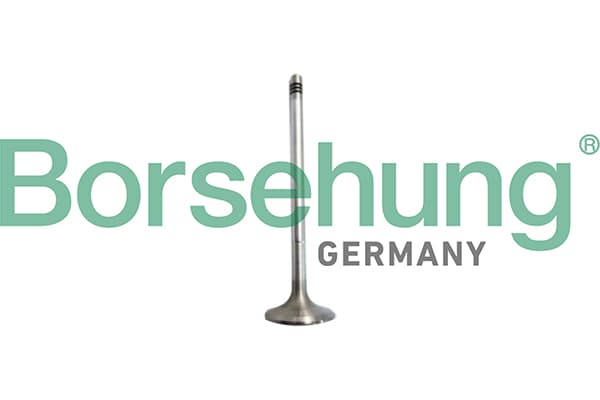 BORSEHUNG Sací ventil B10327 1
