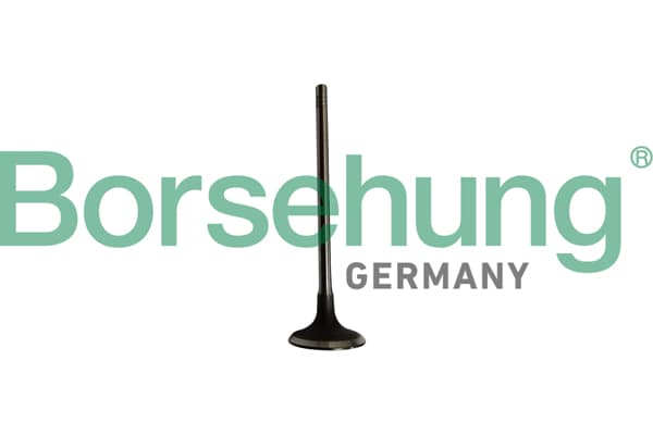 BORSEHUNG Sací ventil B10334 1