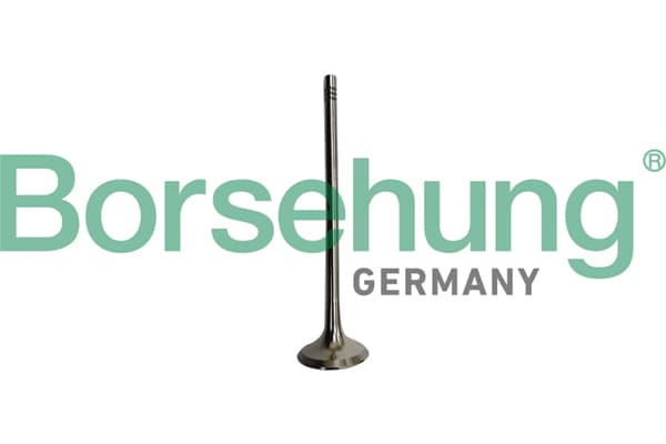 BORSEHUNG Výpustný ventil B10335 1