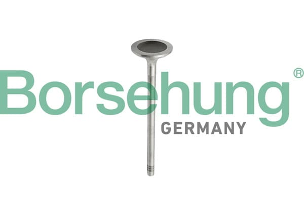 BORSEHUNG Sací ventil B10343 1