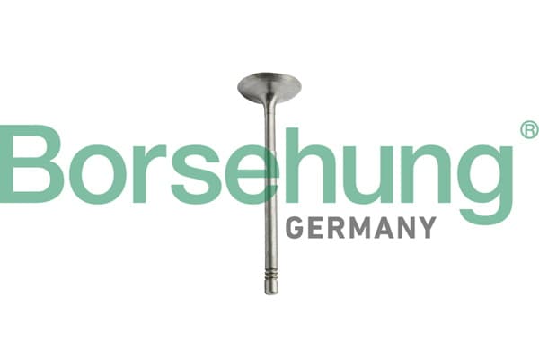 BORSEHUNG Výpustný ventil B10344 1