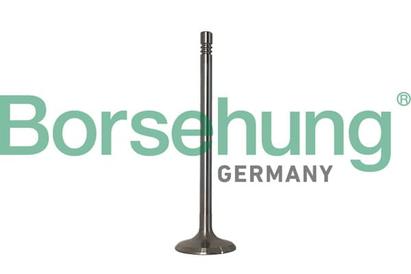 BORSEHUNG Sací ventil B10347 1