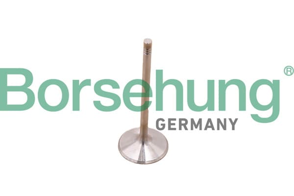 BORSEHUNG Výpustný ventil B10348 1