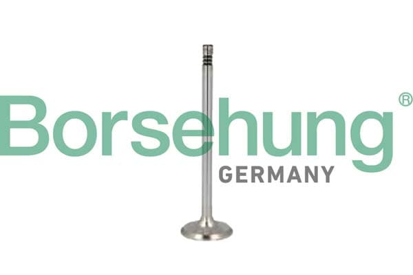 BORSEHUNG Sací ventil B10349 1