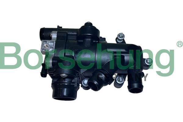 BORSEHUNG Termostat chladenia B10555 1