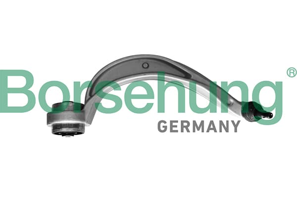 BORSEHUNG Rameno zavesenia kolies B10840 1