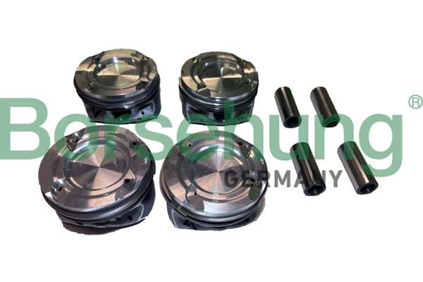 BORSEHUNG Piest B11139 1
