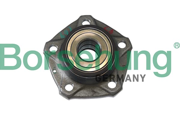 BORSEHUNG Ložisko kolesa - opravná sada B11286 1