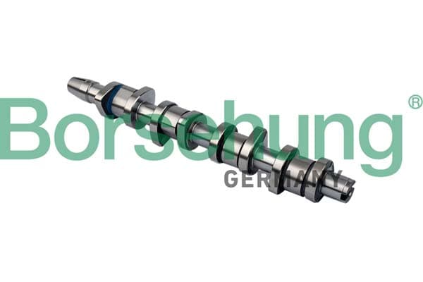 BORSEHUNG Vačkový hriadeľ B11323 1