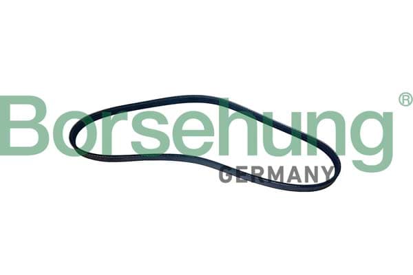 BORSEHUNG Ozubený klinový remeň B12496 1