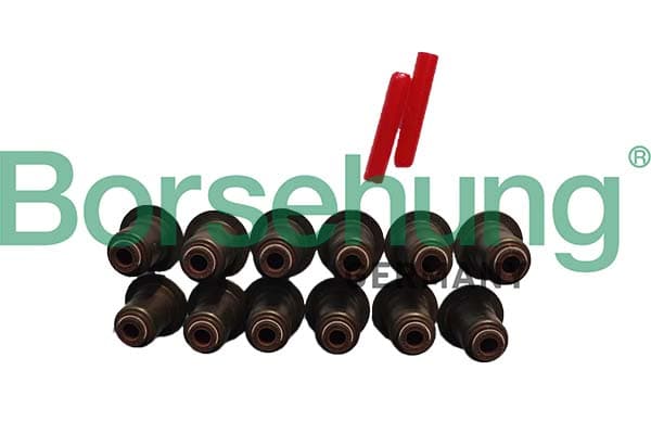 BORSEHUNG Tesniaci krúžok drieku ventilu B12508 1