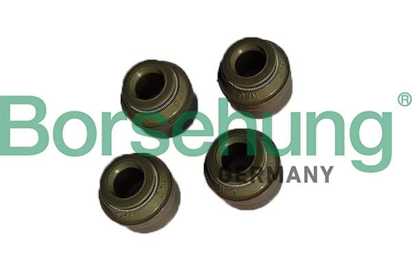 BORSEHUNG Tesniaci krúžok drieku ventilu B12535 1