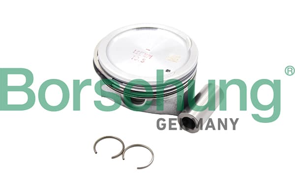 BORSEHUNG Piest B18987 1