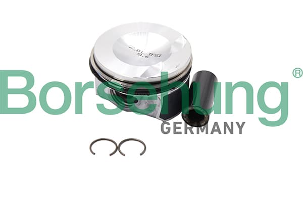BORSEHUNG Piest B18993 1