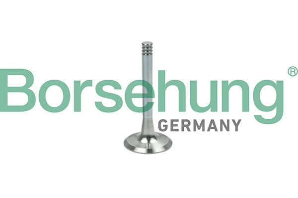 BORSEHUNG Výpustný ventil B19002 1