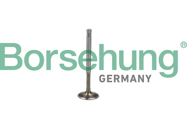 BORSEHUNG Výpustný ventil B19009 1